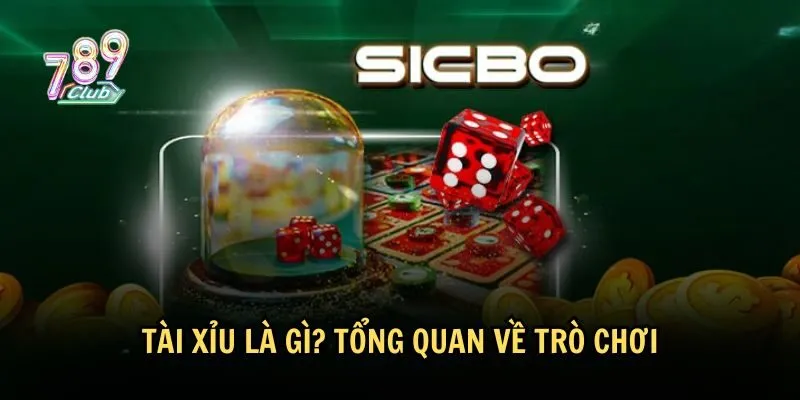 Giới thiệu trò chơi Tài xỉu